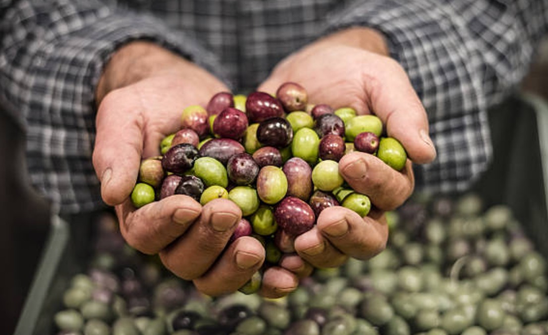 112c1082-0c56-4621-b6b9-5b62530f2dad