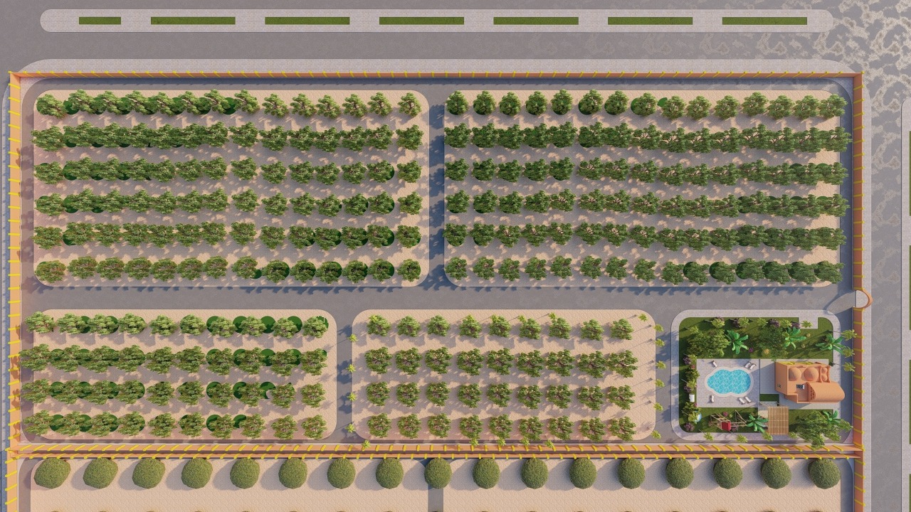 5cae7dc7-5cea-4345-83f0-19eb733bff15