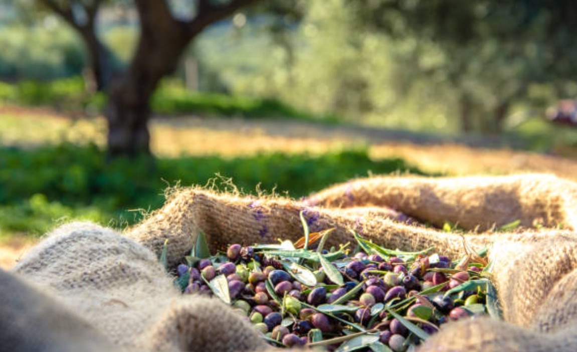 9452e559-f2e6-4ed9-b444-9f6f371cc010