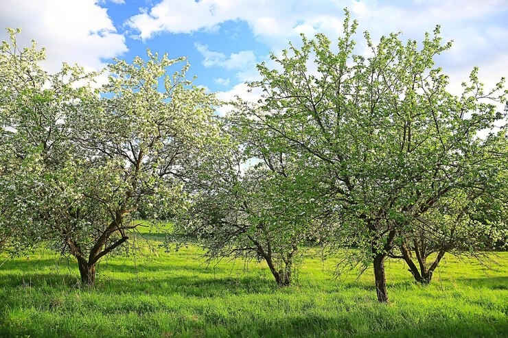 a5c1c289-1b3e-4f34-85ab-0e380e9ab366